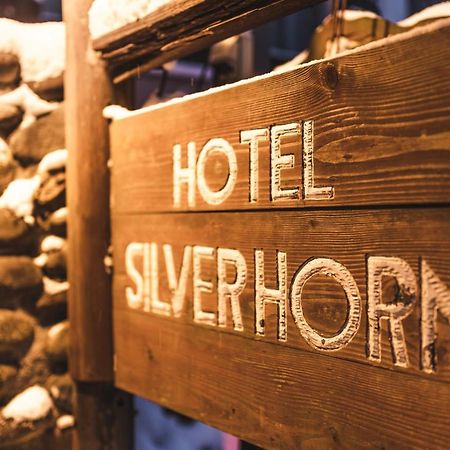 Hotel Silverhorn Myoko Εξωτερικό φωτογραφία